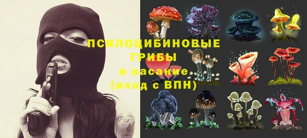 2c-b Верхний Тагил