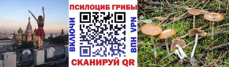 Псилоцибиновые грибы GOLDEN TEACHER  МЕГА ТОР  Баксан 